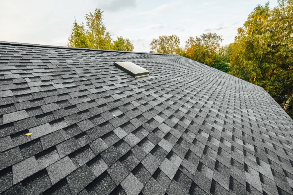shingle roof 1024x683 1